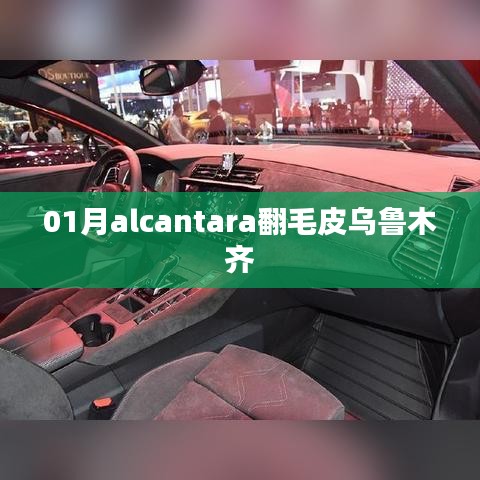 乌鲁木齐alcantara翻毛皮时尚解析