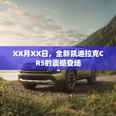 在线留言 第55页