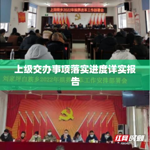 上级交办事项落实进度详实报告