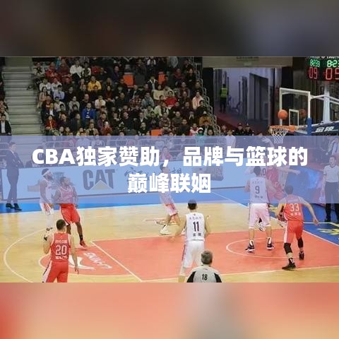 CBA独家赞助，品牌与篮球的巅峰联姻
