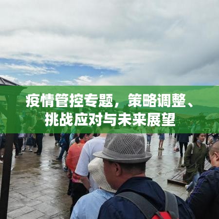 疫情管控专题，策略调整、挑战应对与未来展望