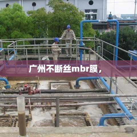 钗荆裙布 第2页