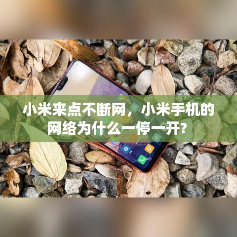 删华就素 第2页