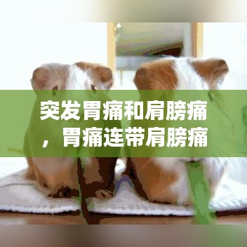 突发胃痛和肩膀痛，胃痛连带肩膀痛 
