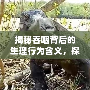 揭秘吞咽背后的生理行为含义，探寻不断吞噬的秘密