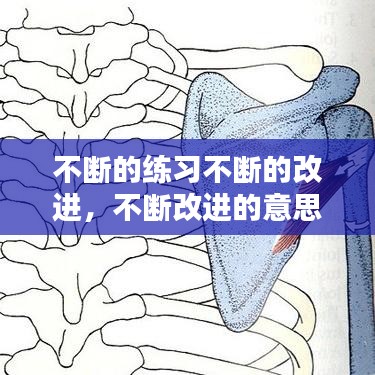 不断的练习不断的改进，不断改进的意思是什么 