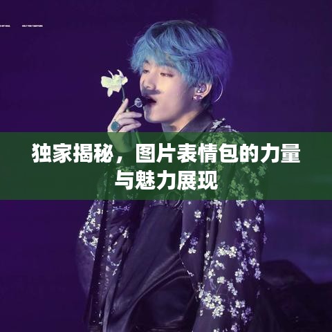 独家揭秘，图片表情包的力量与魅力展现