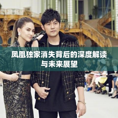 凤凰独家消失背后的深度解读与未来展望