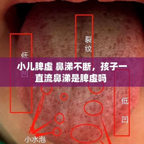 电线电缆回收 第47页