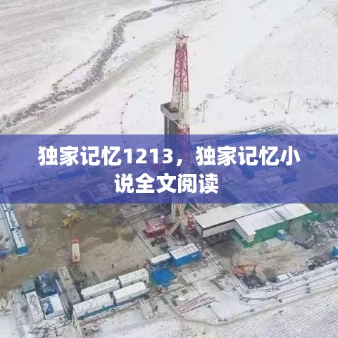 独家记忆1213，独家记忆小说全文阅读 