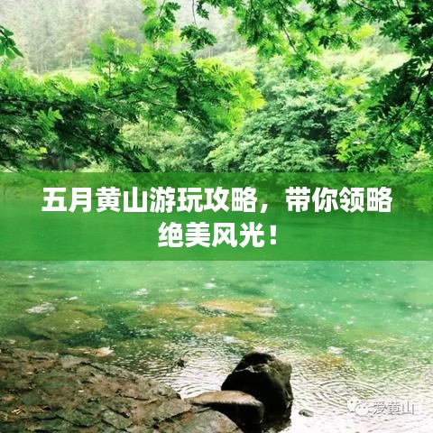 关于我们 第47页