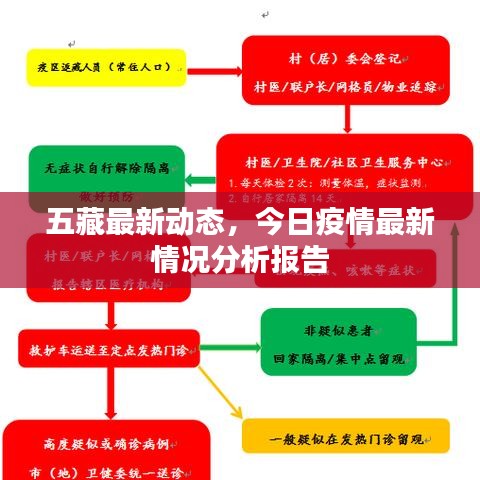 回收流程 第47页