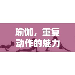 瑜伽，重复动作的魅力与重要性解析