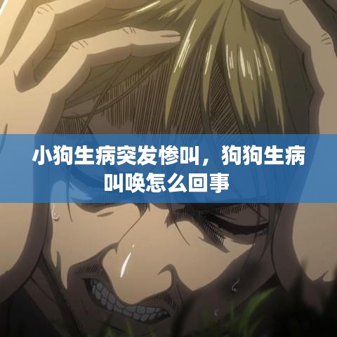 小狗生病突发惨叫，狗狗生病叫唤怎么回事 