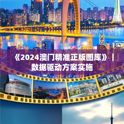 《2024澳门精准正版图库》｜数据驱动方案实施