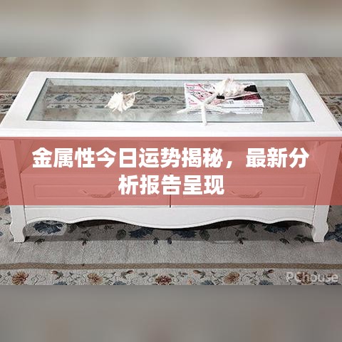 金属性今日运势揭秘，最新分析报告呈现