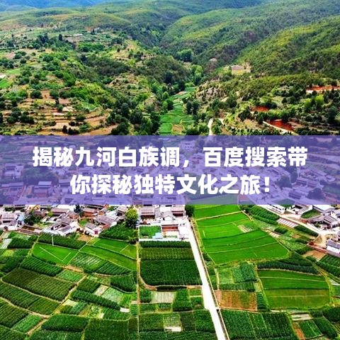 笼鸟槛猿 第2页