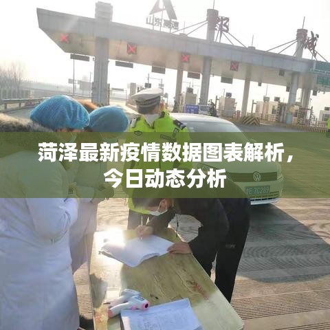 菏泽最新疫情数据图表解析，今日动态分析