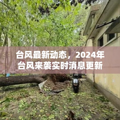 台风最新动态，2024年台风来袭实时消息更新