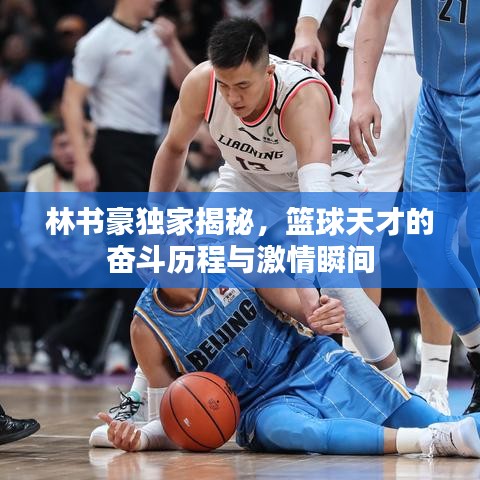 翰飞戾天