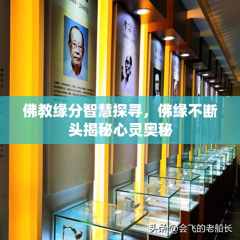 佛教缘分智慧探寻，佛缘不断头揭秘心灵奥秘