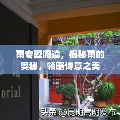 雨专题阅读，揭秘雨的奥秘，领略诗意之美