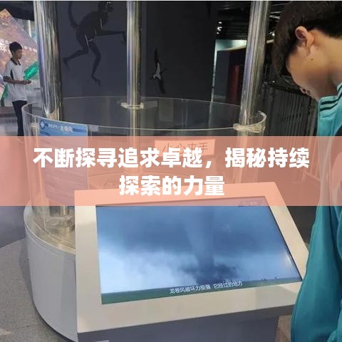 贵冠履轻头足