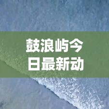 鼓浪屿今日最新动态报道
