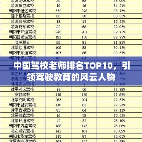 中国驾校老师排名TOP10，引领驾驶教育的风云人物