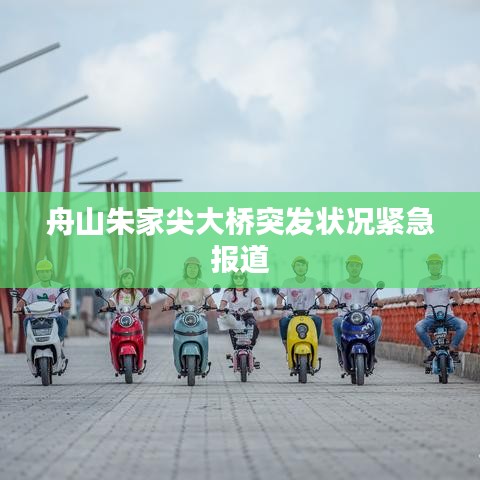 舟山朱家尖大桥突发状况紧急报道