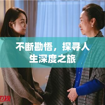 纲挈目张