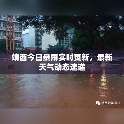 靖西今日暴雨实时更新，最新天气动态速递