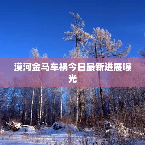 虫言鸟迹
