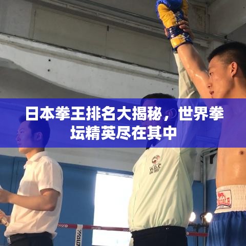 日本拳王排名大揭秘，世界拳坛精英尽在其中