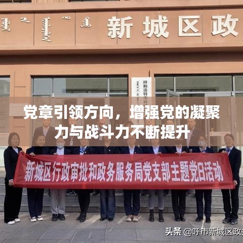 党章引领方向，增强党的凝聚力与战斗力不断提升
