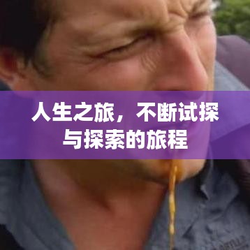 在线留言 第15页