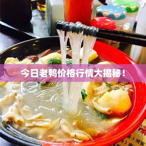今日老鸭价格行情大揭秘！