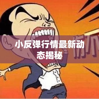 小反弹行情最新动态揭秘