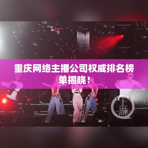回收案例 第10页
