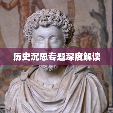 历史沉思专题深度解读