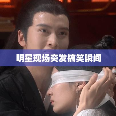 回收案例 第9页