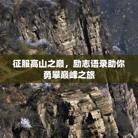 工程拆除 第7页
