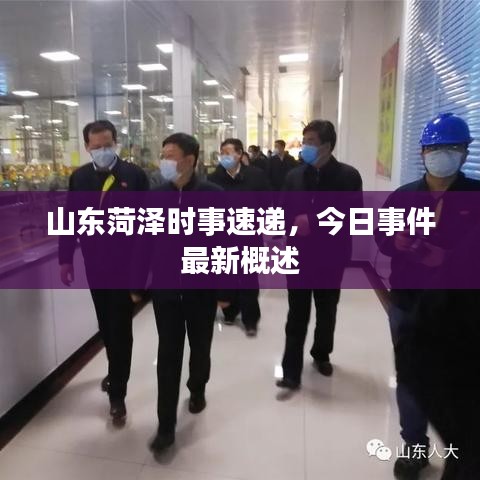 山东菏泽时事速递，今日事件最新概述