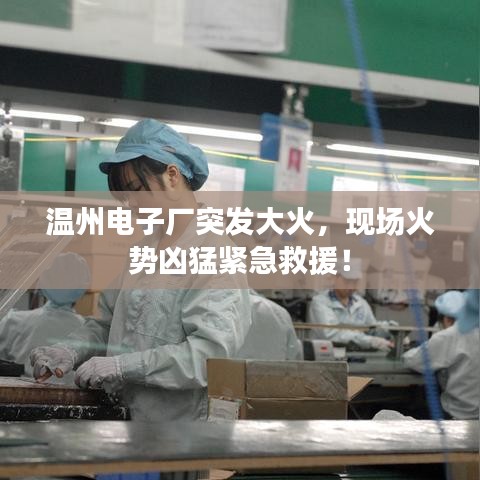 厨房设备回收 第6页