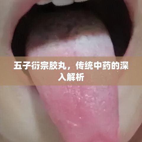 五子衍宗胶丸，传统中药的深入解析