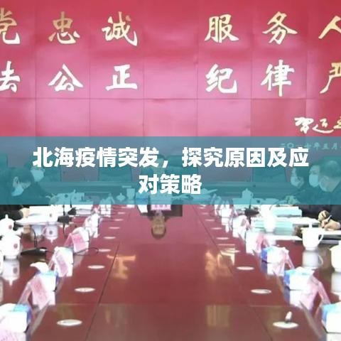 联系我们 第5页