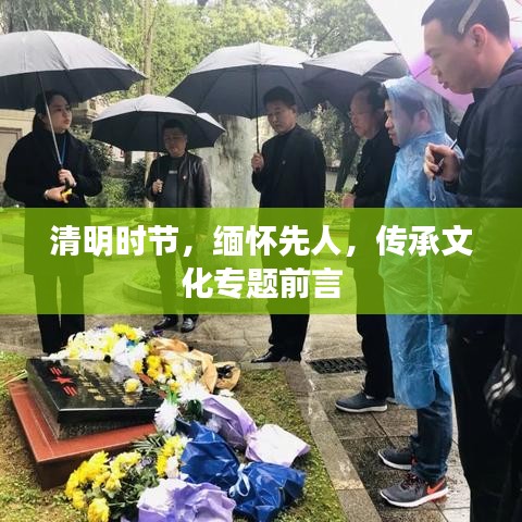 回收流程 第4页