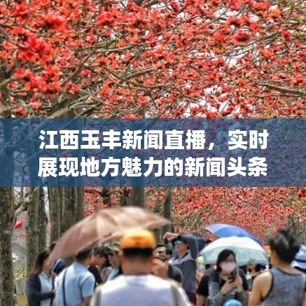 回收流程 第3页