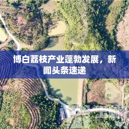 回收案例 第3页