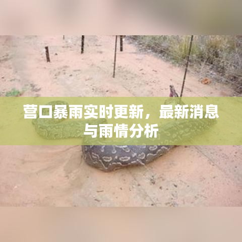 二手叉车回收 第3页